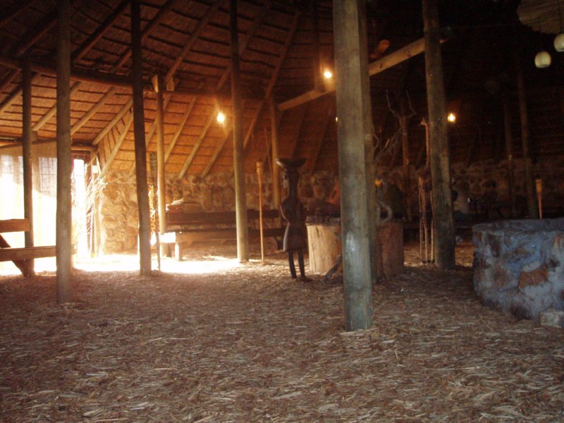 KeHa_in_South_Africa - 211